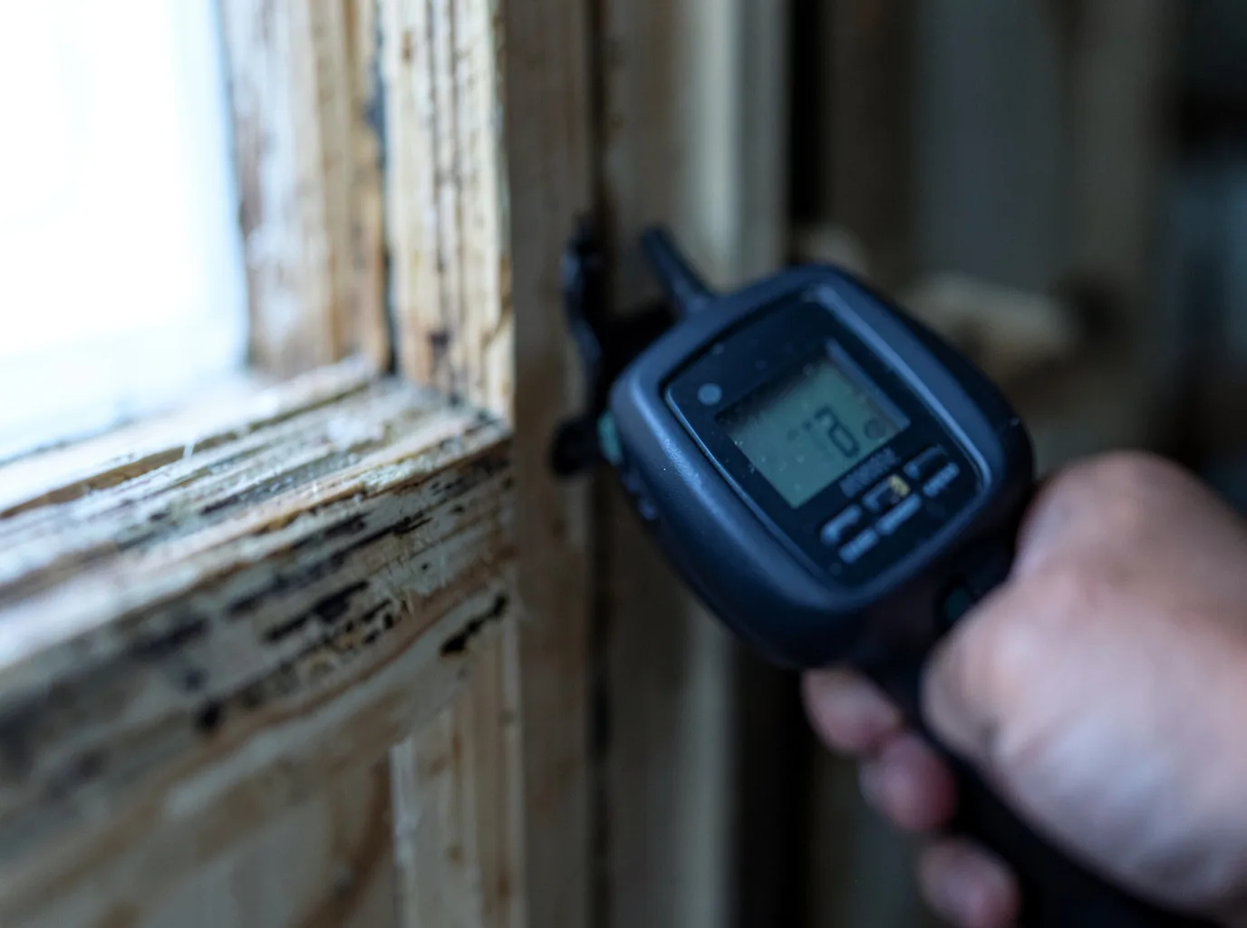 Moisture Inspection And Documentation in Nettleton, MS
